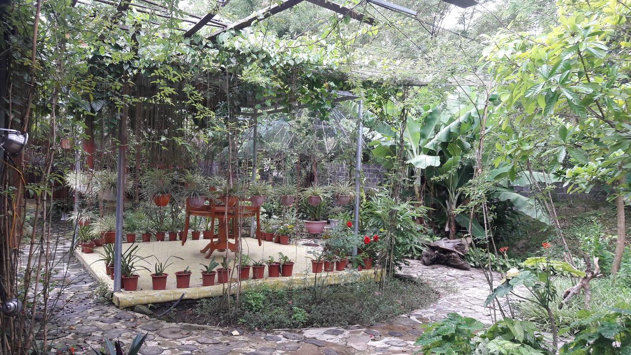 Homestay Lan Rung Nghia Lo Exterior photo